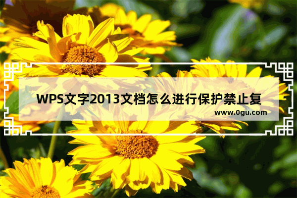 WPS文字2013文档怎么进行保护禁止复制