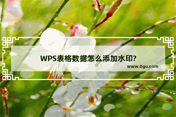 WPS表格数据怎么添加水印?