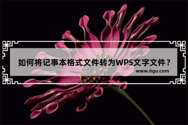 如何将记事本格式文件转为WPS文字文件？