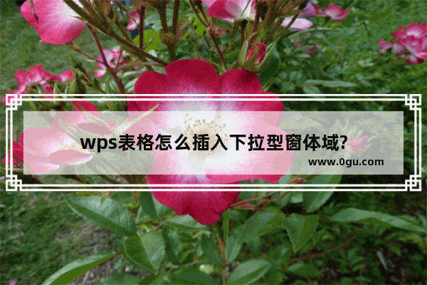 wps表格怎么插入下拉型窗体域?