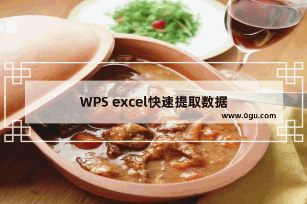 WPS excel快速提取数据