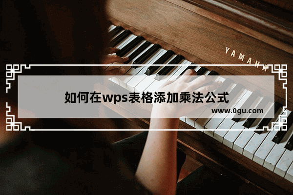 如何在wps表格添加乘法公式