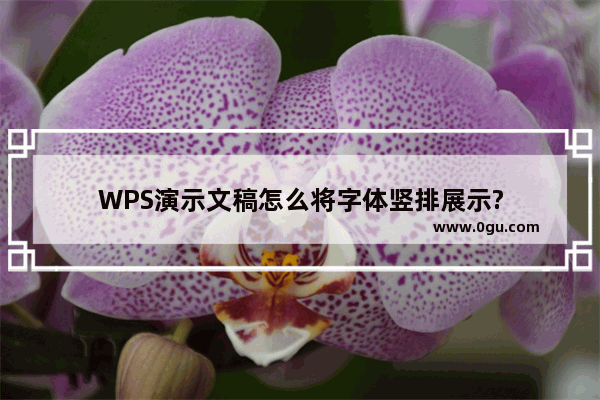 WPS演示文稿怎么将字体竖排展示?