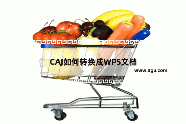 CAJ如何转换成WPS文档