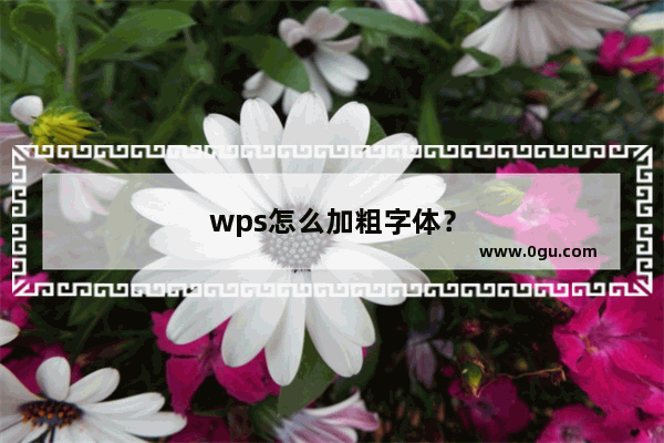 wps怎么加粗字体？