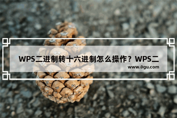 WPS二进制转十六进制怎么操作？WPS二进制转十六进制使用教程