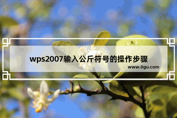 wps2007输入公斤符号的操作步骤