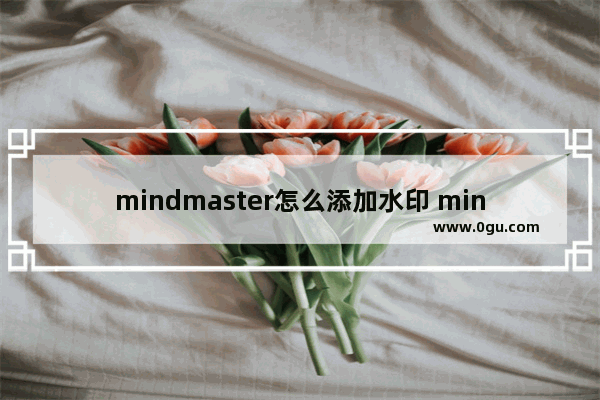 mindmaster怎么添加水印 mindmaster设置背景水印的方法