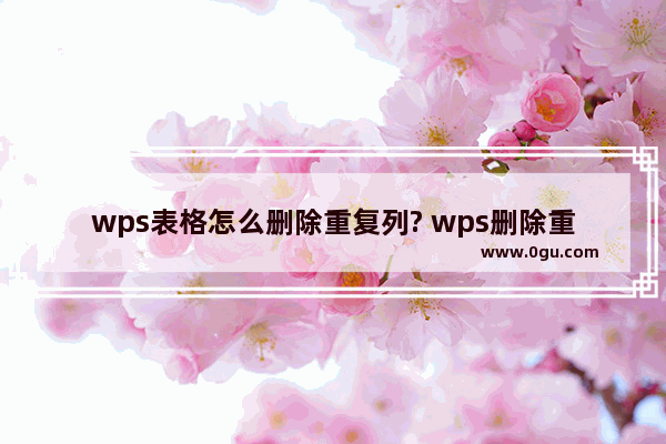 wps表格怎么删除重复列? wps删除重复数据的教程