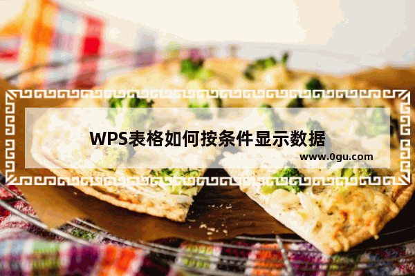 WPS表格如何按条件显示数据