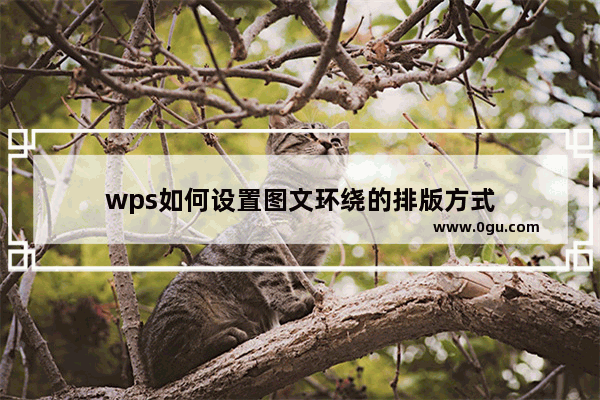 wps如何设置图文环绕的排版方式