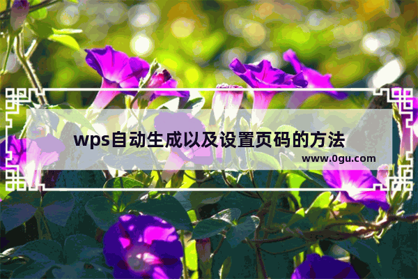 wps自动生成以及设置页码的方法