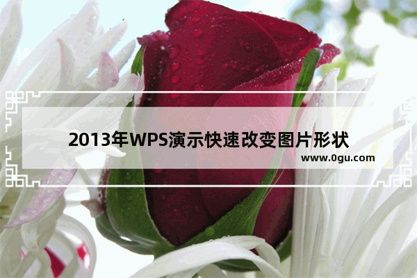 2013年WPS演示快速改变图片形状