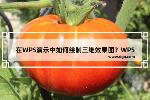 在WPS演示中如何绘制三维效果图？WPS演示绘制三维效果图的方法