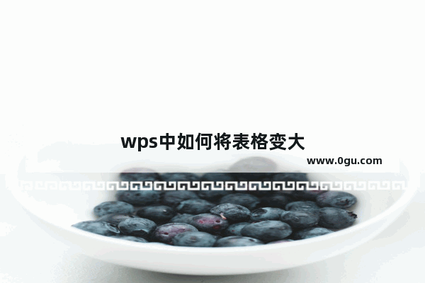 wps中如何将表格变大