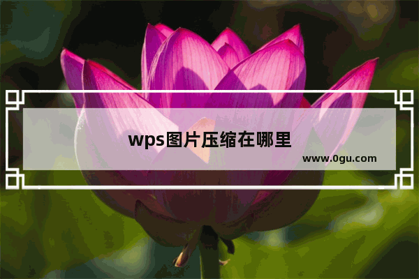 wps图片压缩在哪里