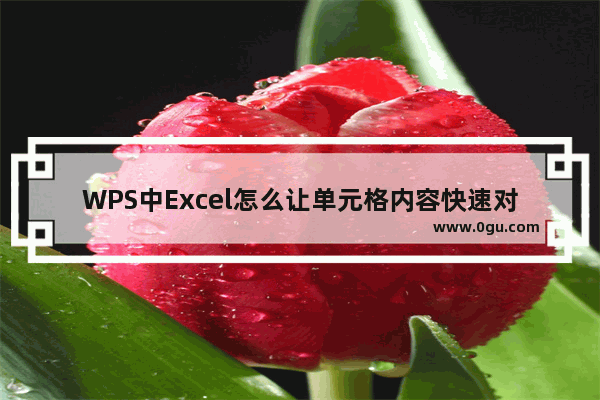 WPS中Excel怎么让单元格内容快速对齐