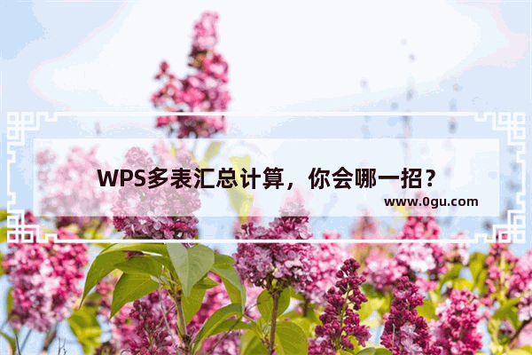 WPS多表汇总计算，你会哪一招？