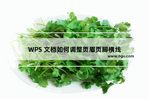 WPS 文档如何调整页眉页脚横线