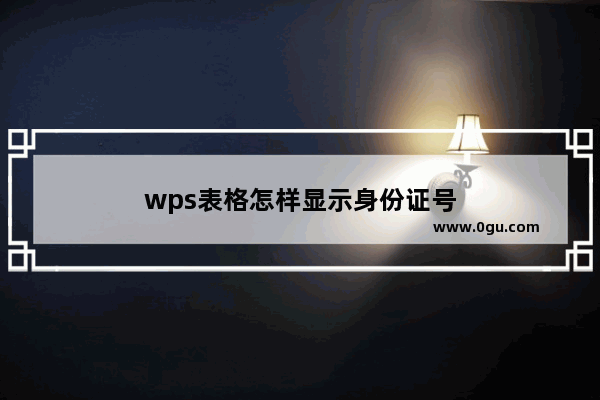 wps表格怎样显示身份证号