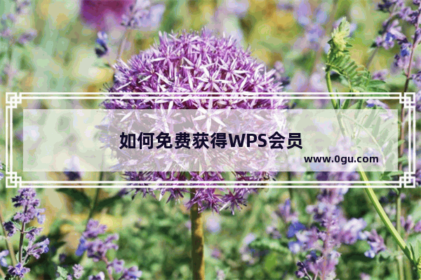 如何免费获得WPS会员