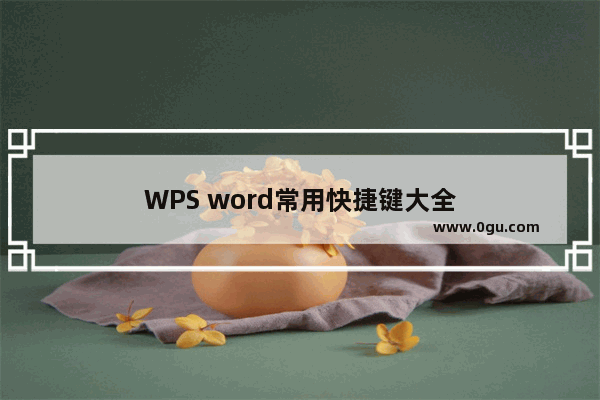 WPS word常用快捷键大全