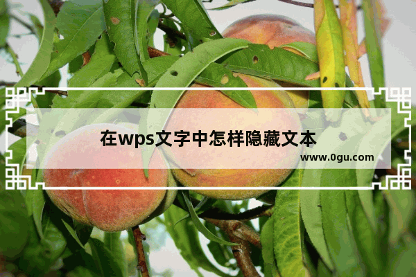 在wps文字中怎样隐藏文本