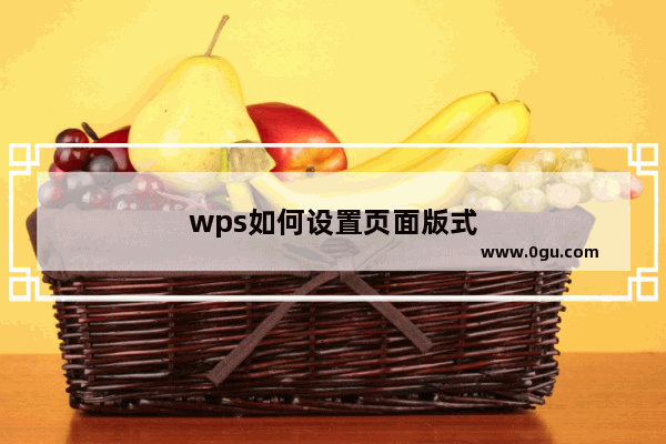 wps如何设置页面版式