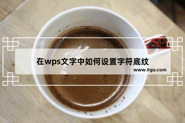 在wps文字中如何设置字符底纹