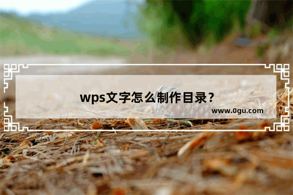 wps文字怎么制作目录？