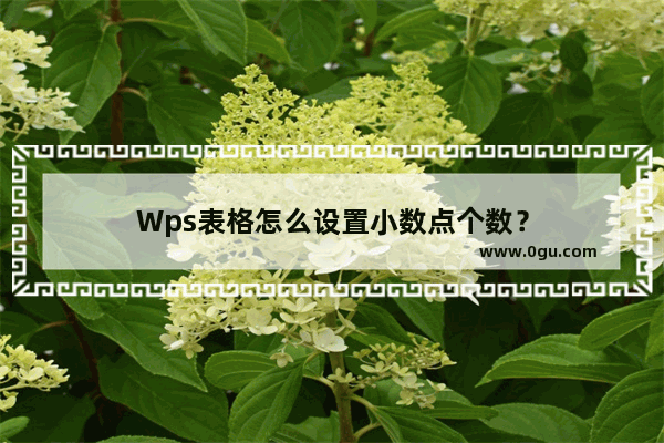 Wps表格怎么设置小数点个数？