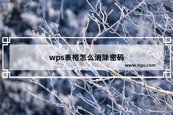 wps表格怎么消除密码