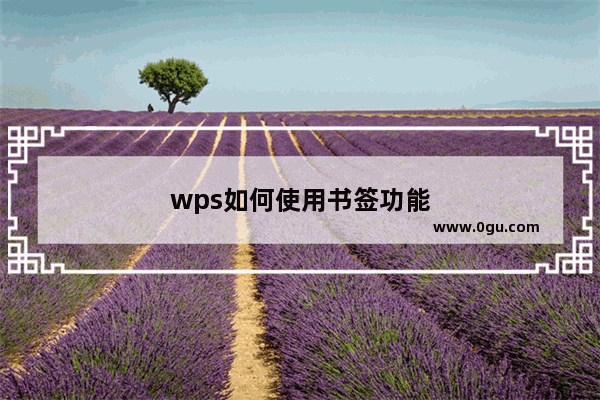 wps如何使用书签功能