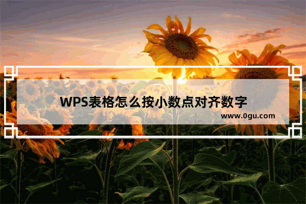 WPS表格怎么按小数点对齐数字