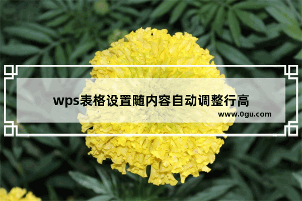 wps表格设置随内容自动调整行高