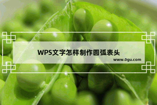 WPS文字怎样制作圆弧表头