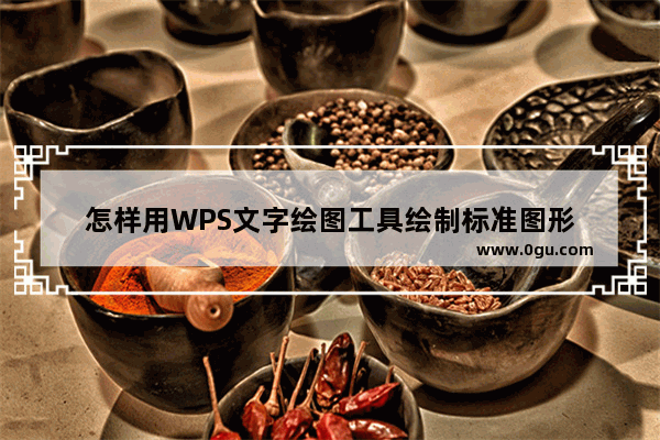 怎样用WPS文字绘图工具绘制标准图形