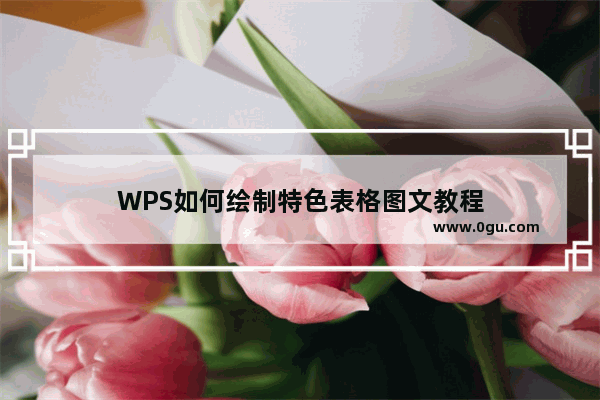 WPS如何绘制特色表格图文教程