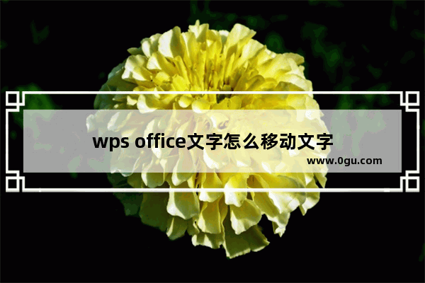 wps office文字怎么移动文字