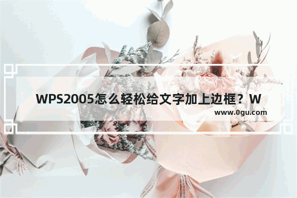 WPS2005怎么轻松给文字加上边框？WPS2005轻松给文字加上边框的方法技巧