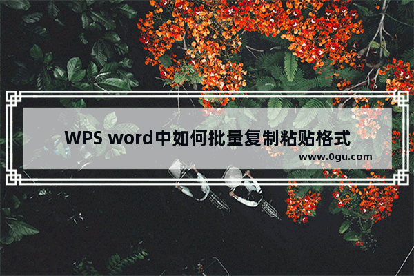 WPS word中如何批量复制粘贴格式