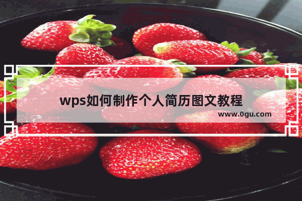 wps如何制作个人简历图文教程