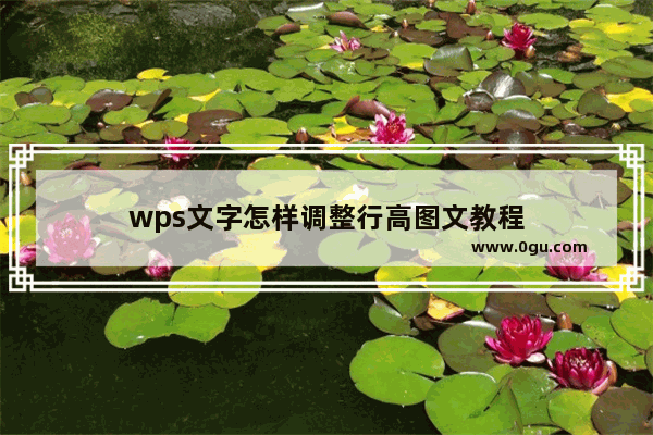 wps文字怎样调整行高图文教程