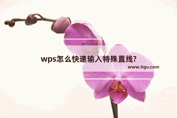 wps怎么快速输入特殊直线?