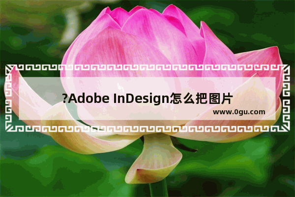 ?Adobe InDesign怎么把图片置于底层 ?Adobe InDesign设置背景图片的方法