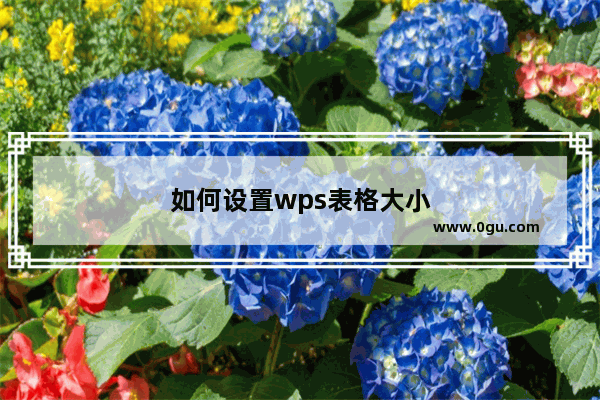 如何设置wps表格大小