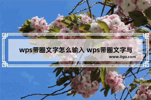 wps带圈文字怎么输入 wps带圈文字与数字输入教程