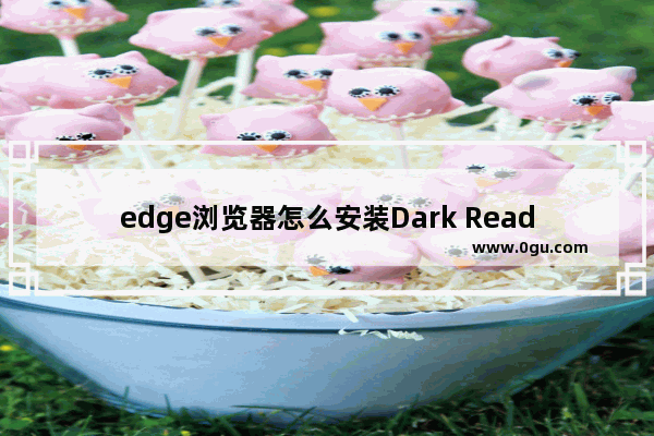 edge浏览器怎么安装Dark Reader插件 edge浏览器安装Dark Reader插件的方法