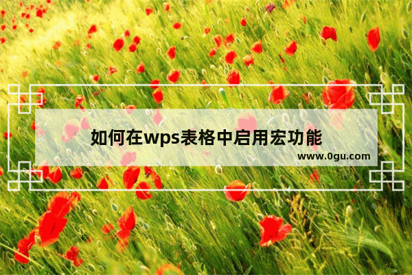 如何在wps表格中启用宏功能