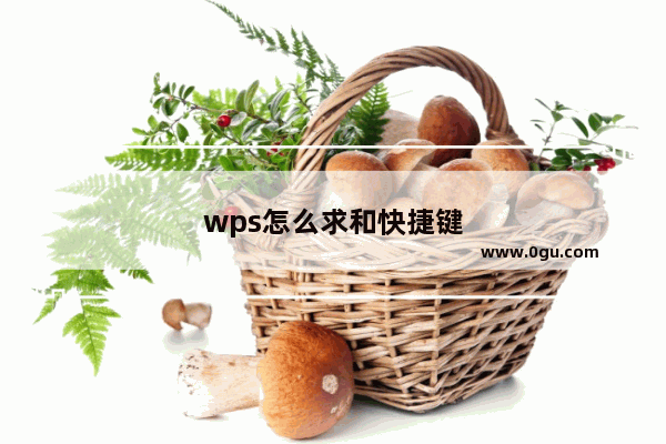 wps怎么求和快捷键